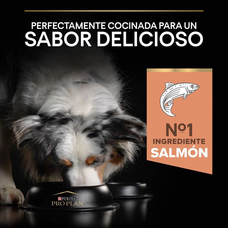 Pro Plan Medium Adult Sensitive OptiDerma Salmão ração para cães, , large image number null